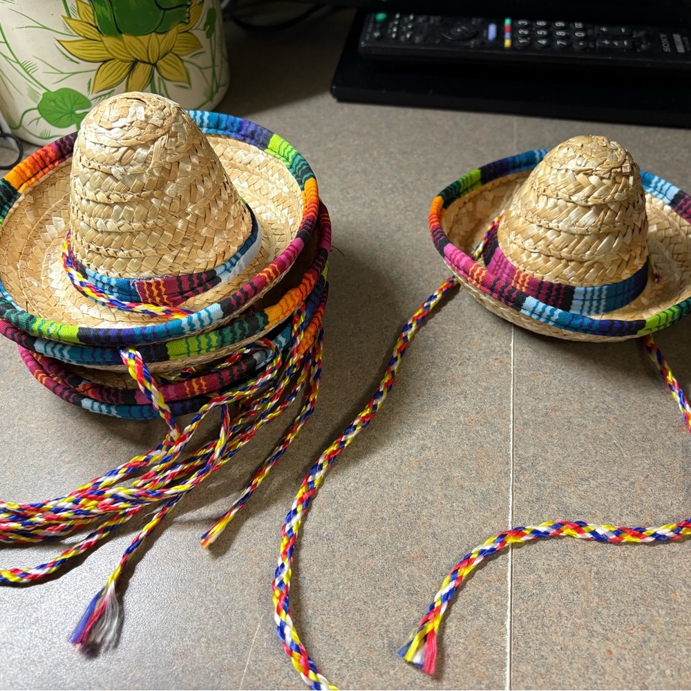Colorful Straw Sombrero Set